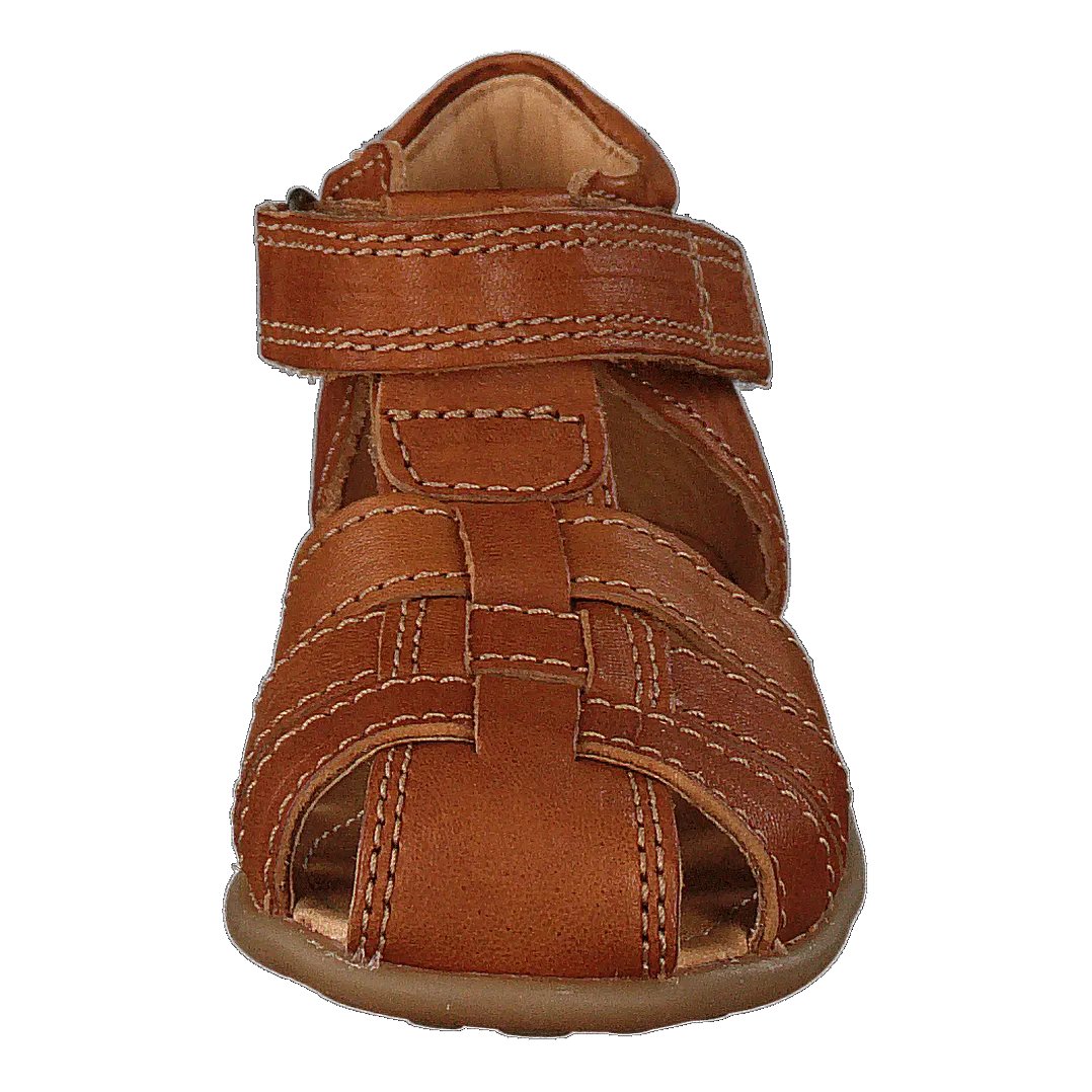 71206.119.505 Cognac