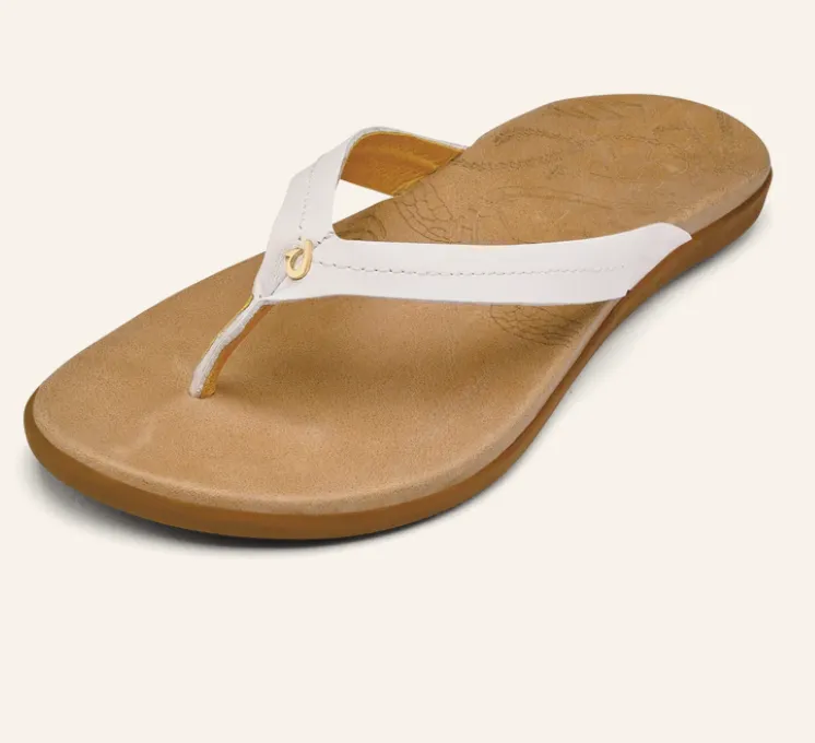 Honu - Bright White and Golden Sands